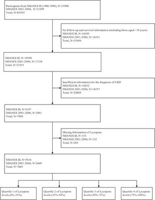 Association of serum lycopene concentrations with all-cause and cardiovascular mortality among individuals with chronic kidney disease: A cohort study